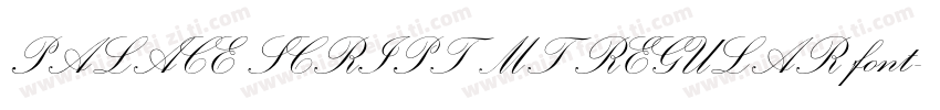 PALACE SCRIPT MT REGULAR font字体转换
